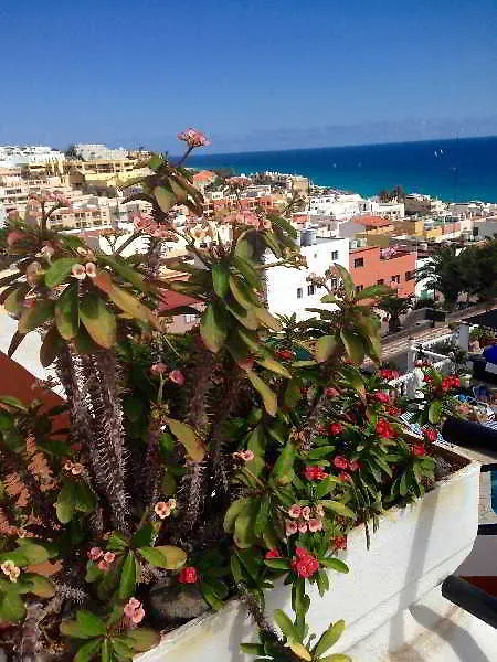 Hotel Apartamentos Alberto Morro Jable